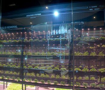 Pavillon Belge - Hydroponie - Exposition Universelle 2015 - Milan