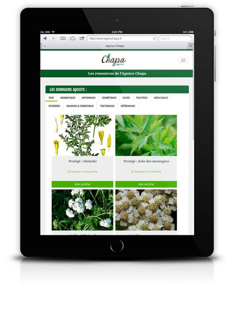CRENOW Design - Agence Chapa - Site Internet - Tablette